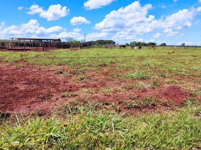 Fazenda de Dupla Aptidão em Campo Grande, MS - 2000 Hectares de Oportunidade!