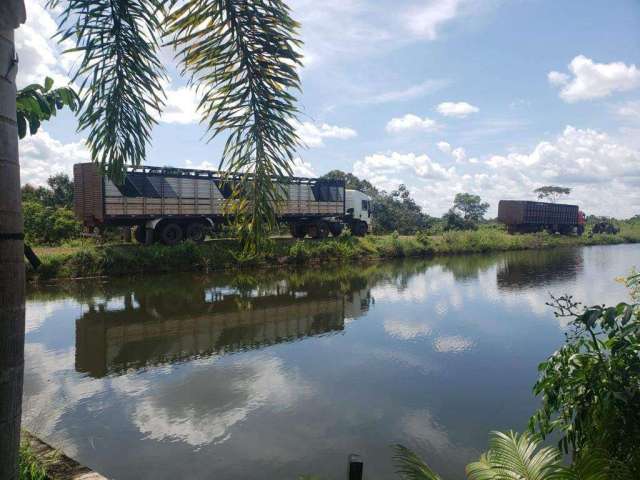 Fazenda á venda em Gurupi, Tocantins