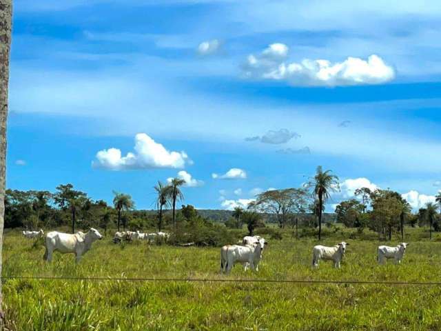 Fazendão p/ lavoura ou pecuária bandeirantes-to