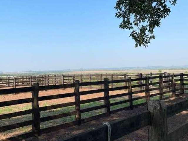 Fazenda á venda na região de Presidente Kennedy a 12 km da cidade e 25 de Guaraí