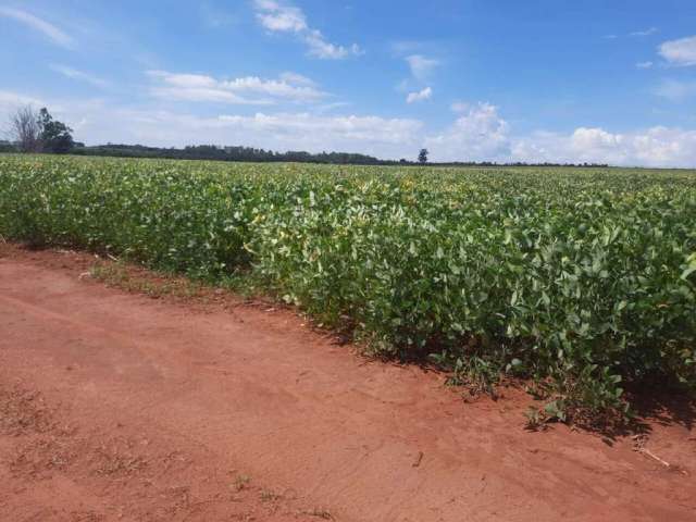 Fazenda de 900 Hectares em Uberlândia-MG: Oportunidade Única no Agronegócio!