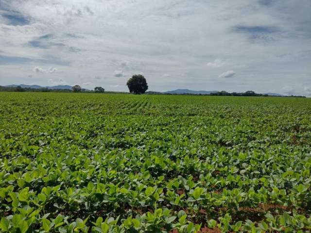 Oportunidade Única: Fazenda á venda de 1.577 hectares em Barro Alto-GO