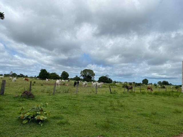 Incrível Oportunidade: Fazenda de 20.000 Hectares em Cocalinho - MT - Dupla Aptidão e Infraestrutura Completa!