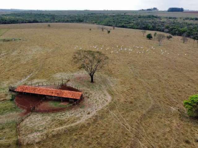 Belíssima fazenda a venda no município de Prata-Mg