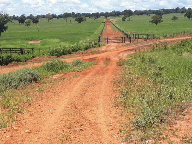 Fazenda de dupla aptidão com 1.563,32 hectares em Santa Vitória - MG