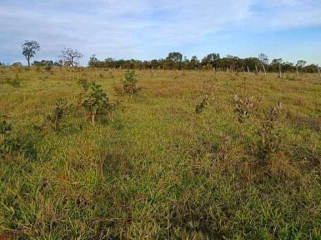 Belissima fazenda a venda em Itarumã-Go