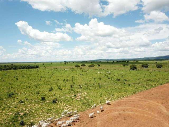 Ótima fazenda a venda em Iturama-MG