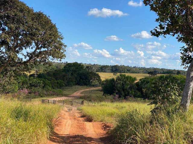 Explore uma Grande Oportunidade: fazenda Espetacular à venda em General Carneiro - MT