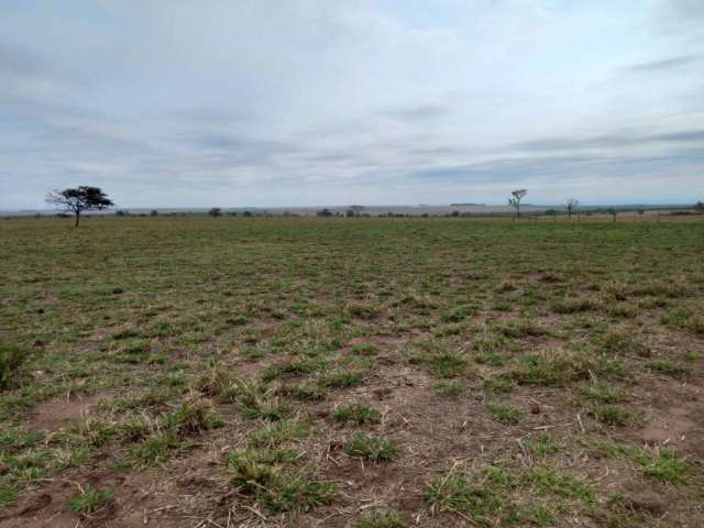 Explore Novos Horizontes: Fazenda Excepcional à Venda em Cocalinho-MT