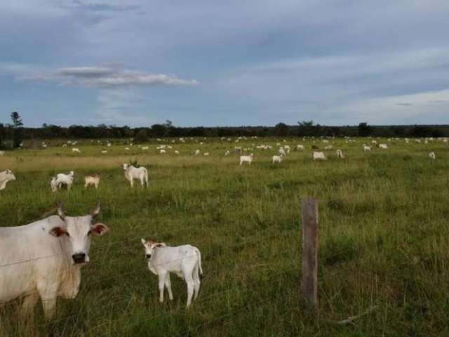 Ótima fazenda em Cristalina-Go próxima a Colinas-To.