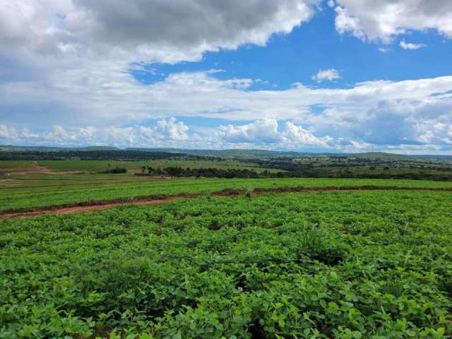 Fazenda a venda em Prata-MG