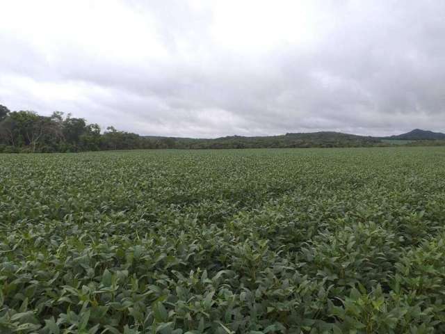 Fazenda em Paranatinga-MT