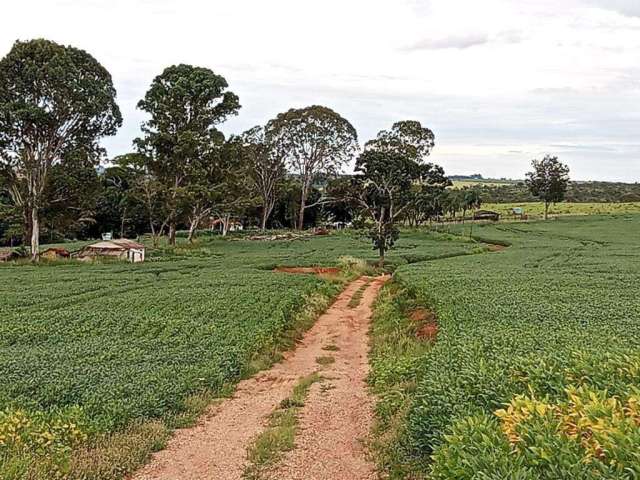 Fazenda no município de Coromandel