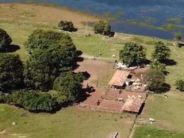 Fazenda no município João Pinheiro