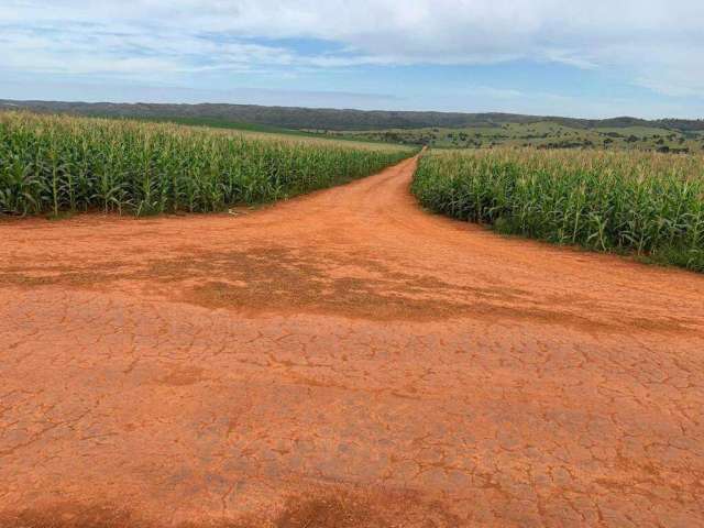 Excelente fazenda localizada no município de Campo Alegre-Go