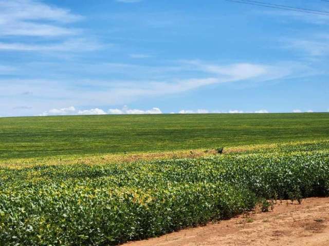 Fazenda na Área Rural de Cristalina