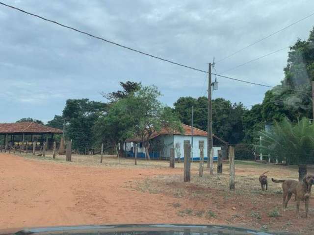 Excelente Fazenda na Área Rural de Uberlândia