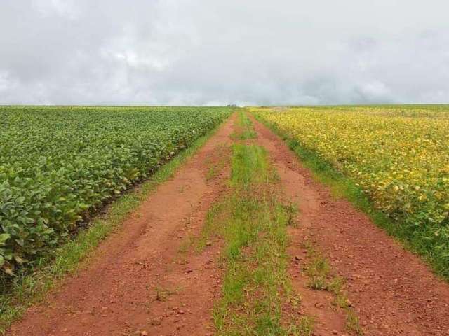 Fazenda na Área Rural de Água Fria de Goiás