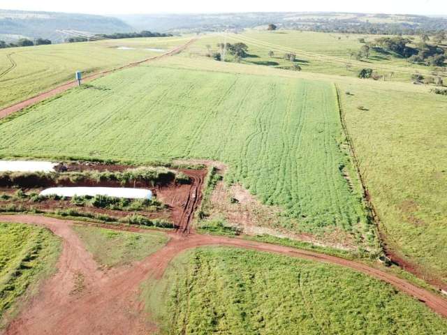 Fazenda Município de Uberlândia - MG