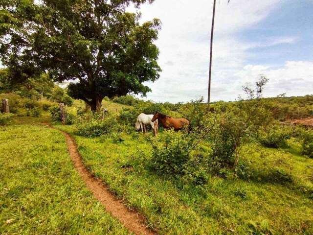 Fazenda na Área Rural de Uberlândia