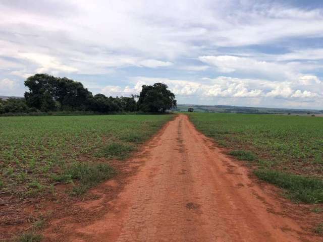 Fazenda na Área Rural de Rio Verde - GO