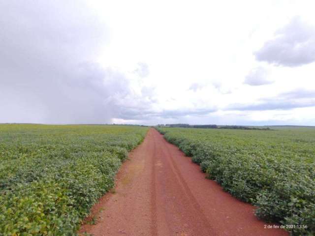 Fazenda em Campo Verde - MT