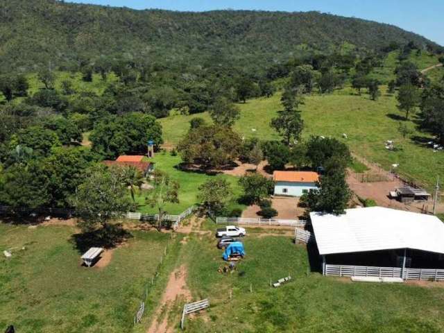 Fazenda na Área Rural de Santa Cruz de Goiás