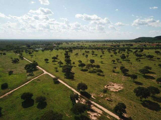 Fazenda na Área Rural de João Pinheiro