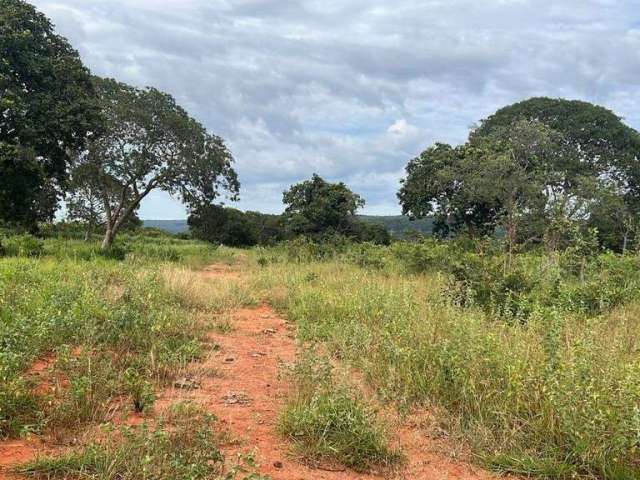 Fazenda na Área Rural de João Pinheiro