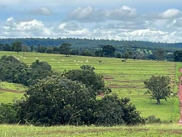 Fazenda na Área Rural de Iturama