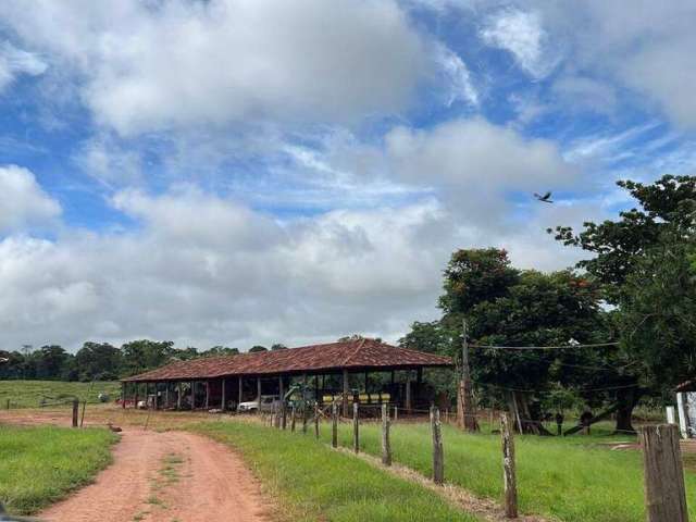 Fazenda próxima a Uberlândia