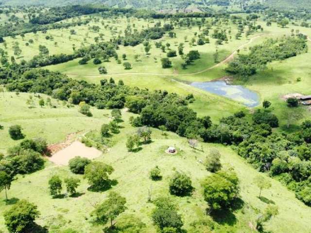 Fazenda Área Rural de Água Limpa