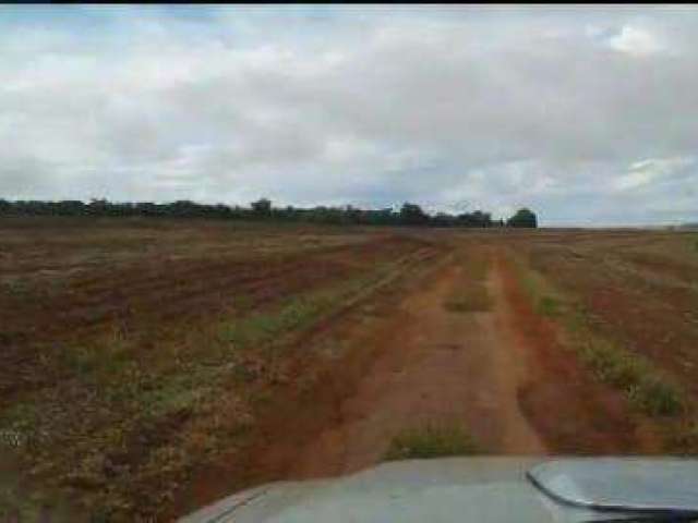 Excelente Fazenda no Município de Monte Alegre