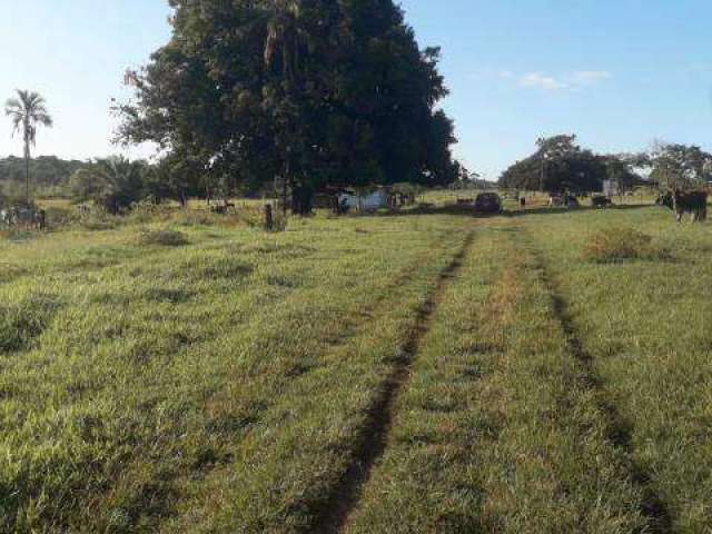 Fazenda Dupla Aptidão Município de Campina Verde