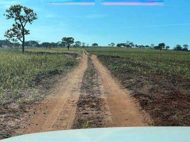 Fazenda à venda, ÁREA RURAL DE UBERLÂNDIA - Uberlândia/MG