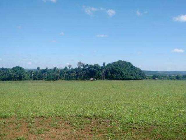 Fazenda à venda, Area rural de prata - PRATA/MG