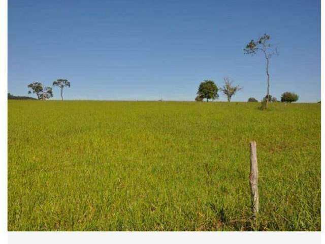 Fazenda à venda, 1 quarto, Área Rural de Tupaciguara - TUPACIGUARA/MG