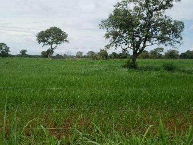 Fazenda à venda, Area Rural de Porangatu - Porangatu/GO