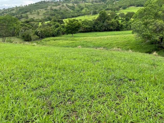 Fazenda em Araguari-MG sentido Amanhece-MG