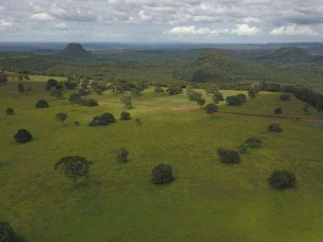 Fazenda em Pecuária em Chapadão do Céu - GO: Ótima Oportunidade!