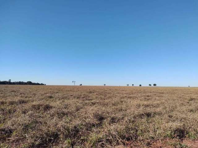 Fazenda de pecuária com aptidão para lavoura em Paraíso das Águas - MS