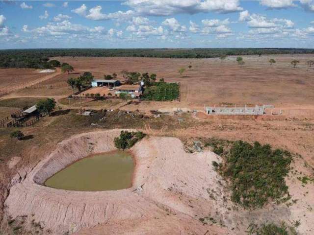 Oportunidade Única! Fazenda magnifica em Guaraí - Tocantins