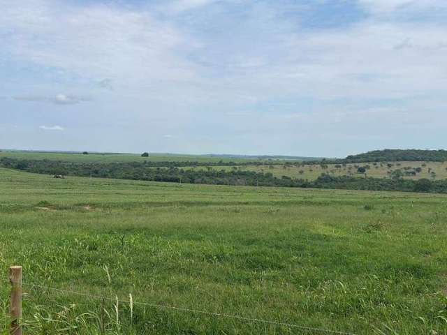 Fazenda 387,2 hectares de Dupla Aptidão Próxima a Uberlândia, MG!