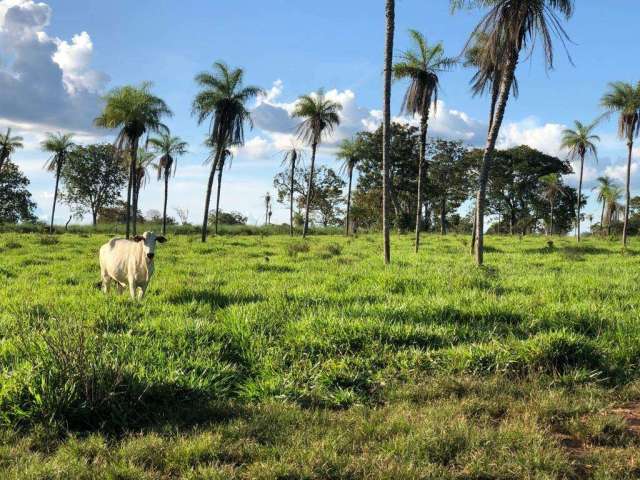 Oportunidade: Fazenda á venda na região Sul de Tocantins