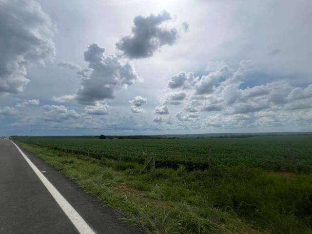 Ótima fazenda no município de Campo alegre-GO