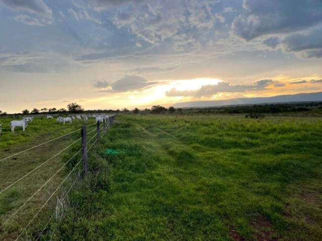 Fazenda de dupla aptidão localizada no município de Flor de goias - Go próximo a Agua Fria - Go