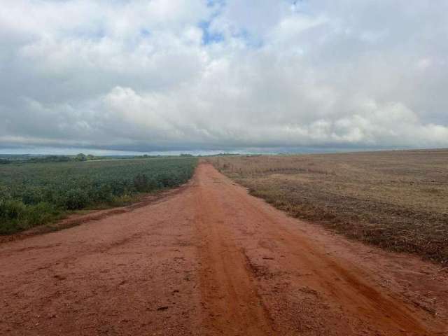 Grande fazenda na área rural entre Uberlândia a Monte Alegre - MG