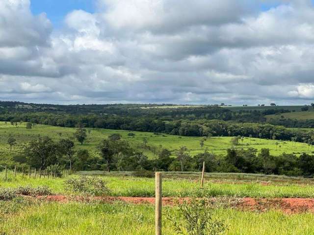 Grande oportunidade, Fazenda com dupla aptidão na área rural de Monte Alegre - MG