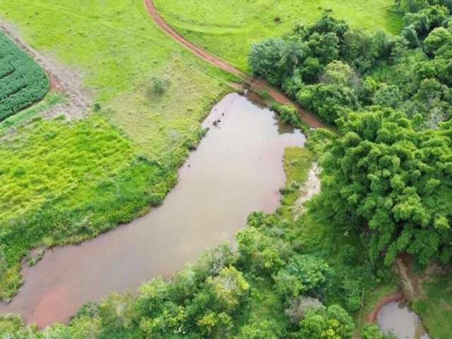 Fazenda a venda no município de Araguari - MG Sentido a Indianópolis.