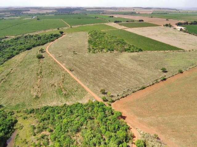 Fazenda a venda na área rural de Araguari - MG